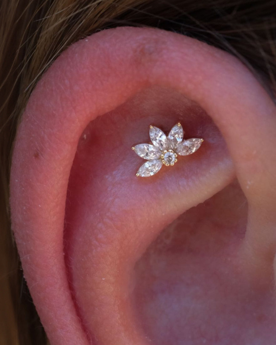 Crown Marquise